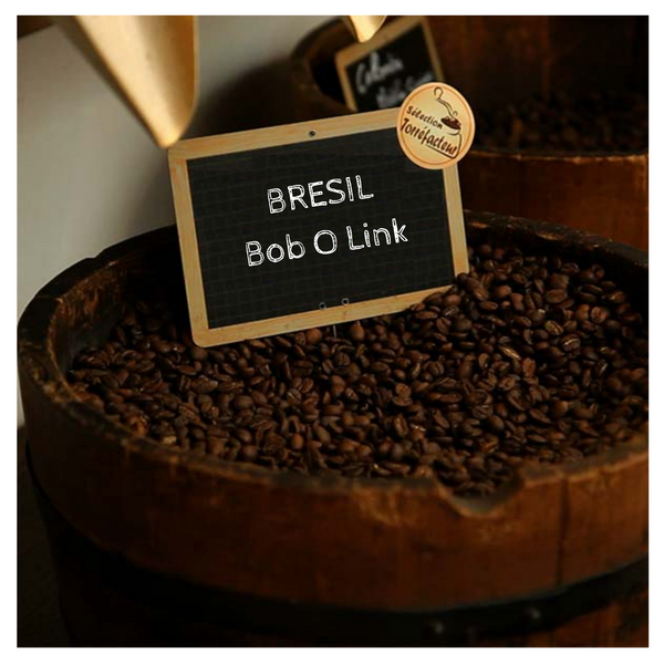 Café du Brésil - Bob O Link- en grain ou moulu