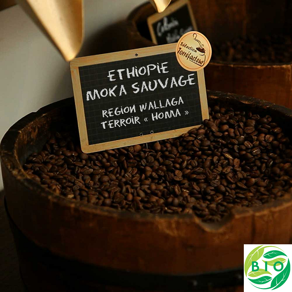 Ethiopie Moka Sauvage Bio - Région Walläga - Terroir « Homa »
