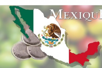 Nos cafés du Mexique